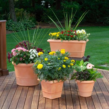pressure washing patios and decking