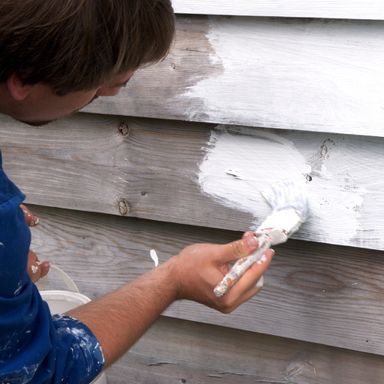 Painting fences, outbuildings and masonry