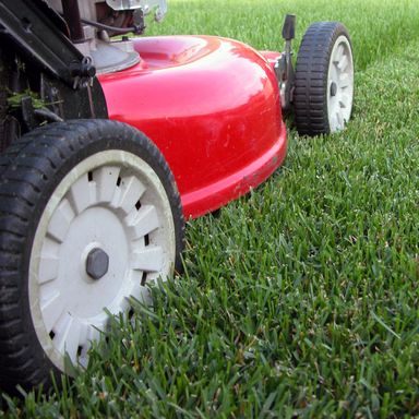 Lawn mowing, feeding and year round care