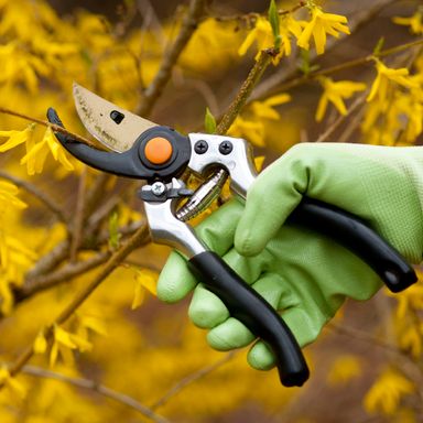 Pruning, weeding and planting